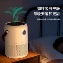 펫 공기청정기 원룸 강아지 고양이 털 미세먼지 부유먼지 청소기 효과 환기 자동차, 흰색, ONE SIZE, 흰색
