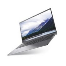 델 2021 노트북 15.6, 플래티넘 실버, DN5510-UB09KR, 코어i7, 512GB, 16GB, Linux