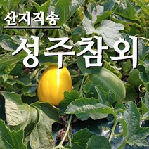 [농부네 부부농장] 싱싱한 성주참외 산지직배송 2.5kg~, 1박스, 10.참외 실속형 10kg 대과 (박스무게포함)