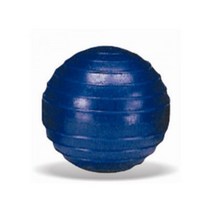 오너클랜 투창연습공(실내용) 육상 투창던지기 학교용[W6C7981]