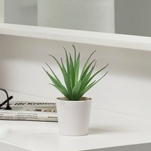 1+1 이케아 FEJKA 페이카 인조 다육 식물 화분 6cm 1P, 5개