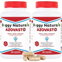 고양이영양제 개와 고양이를 위한 Azovast Plus 신장 건강 보조제 경구용 분말6온스 - 120회 복용량/병 냉장 보관 필요 없음 기능 지원 및 관리에 도움미국산6온스, [04] 240정(2팩)