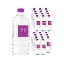 몽베스트 1L 24병