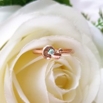 빅윈 여성 지르콘 큐빅 오로라아이 강아지 반지 R115