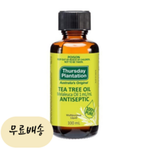 써스데이플랜테이션 티트리 오일 대용량 100mL, 1개