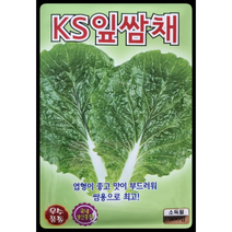 잎쌈채씨앗500립 잎쌈배추 KS종묘