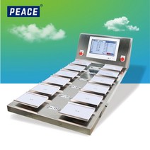 샤인머스켓 포도 청포도 거봉 자동 무게측정 조합형 중량 선별기 선별기계, P-1000 조합형 중량 선별기, 1개