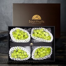 프리미엄 샤인머스켓 선물세트 2.7kg (4수), 단품