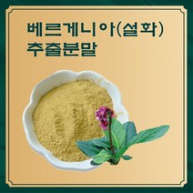 베르게니아 설화 추출분말 50g 샘플 농축 향분말 과일 추출분말 액, 1, 본상품선택, 본상품선택
