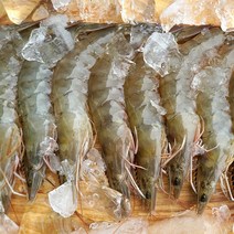 대천해 생물 왕새우 500g(18~23미), 1박스