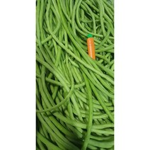 흰줄콩 동남아시아야채 국내재배흰줄콩 500g, 흰줄콩500g
