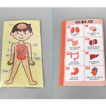 우리 몸 속 여행 4인/과학 실험 키트 교구 도구 만들기