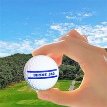 [아하코리아] [버디360] 볼라이너 골프공스탬프, 주문형/이니셜문자추가