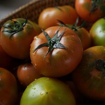 대저 토마토 2.5kg 중과 (M), 1개