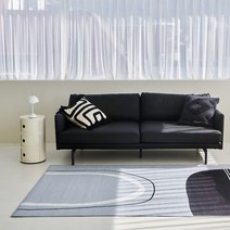 [한빛카페트] 루시드 아트 셔닐 사계절 러그 먼지없는 카페트 100x150cm