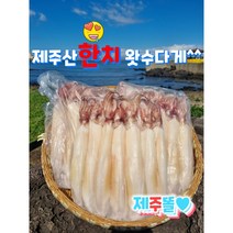제주산 급냉 한치 1kg 쫄깃쫄깃 오동통^^