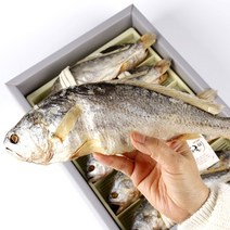 [명품굴비] 영광법성포 보리굴비 27cm 29cm 31cm내외 5미 10미 가정용 선물용 명절선물세트 산지직송, 보리굴비31cm5미