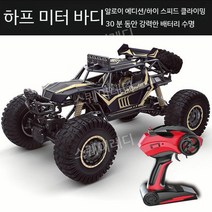 입문용 RC카 몬스터트럭 대형 알씨카 오프로드RC카, 고급 배터리 3개 + USB 충전, 골드 블랙