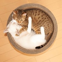점보 원형스크래쳐 고양이침대 뚱냥이집 두꺼운골판지 냥모나이트 고양이물품