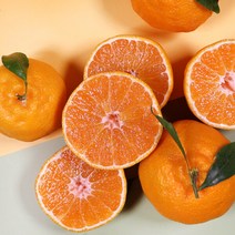 프레she 제주 고당도 한라봉 2.7kg 소과 15과내외/실중량