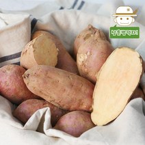 [태안직송] 안면도 호박고구마(한입) 5kg10kg, 5kg