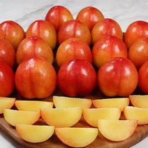 자두제철 임산부자두 새콤달콤꿀자두 풍개자두, 풍개자두 상 2kg, 1개