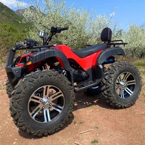 ATV 4륜 오프로드 산악 심마니 농부 오토바이, 리틀 불 패키지 3