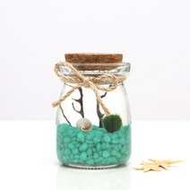 그린테라피 푸딩병 전구병 마리모세트, 초록, 1개