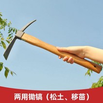 소호미 농업용 소형 공구 야외 겸용 채소 재배 가정용 농기구 화초 제초신기 갈퀴 흙파기, 괭이 겸용