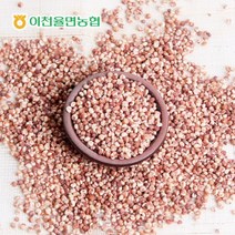 시골밥상 이천 율면농협 찰수수 500g /국내산, 1