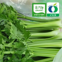 강원도 치악산 유기농 샐러리 500g, 1박스