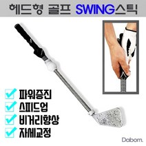다봄마켓 [입문자필수템!] 헤드형 SWING스틱 자세교정부터 스윙연습까지!!