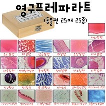 영구프레파라트(동물편 25매 25종) RAR