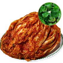 국내산 유기농 한방 포기김치3kg, 초석잠포기김치, 김치3kg