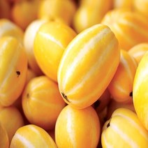성주 참외 가정용 2.5kg 5kg 10kg (등급 - 상), 1box, [03]가정용 참외 2.5kg / 대과