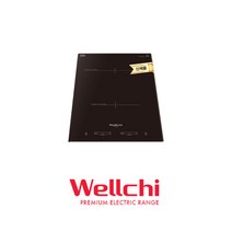 웰치 인덕션 2구 전기레인지 WEI-200 매립형