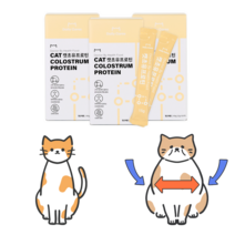 닥터바이 캣초유프로틴 고양이 단백질 면역력 영양제 450g, 1세트