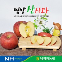 경북 영양농협 사과 꿀부사 5kg 24-26과 미세기스, 단품