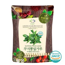푸른들판 국내산 꾸지뽕 잎 분말 가루 100% 국산 꾸찌뽕 꾸찌뽕 구찌뽕 나무 잎 차 haccp 인증, 500g, 1개