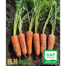 <봄봄농산>제주도 GAP인증 햇 당근 제주 구좌 성산 흙당근 3kg/5kg/10kg, 제주 햇당근, 상, 3kg” class=”wr-img”></a></div>
</div>
</div>
</div>
<div class=