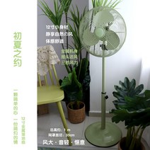 레트로 엔틱 빈티지 스탠드 메탈 선풍기 사무용 감성 캠핑용 인테리어 선풍기 소품, 12인치 팬연두색 무음 추천, 1