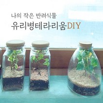 화초 관찰 미니 온실 유리병 테라리움 DIY, t병하트