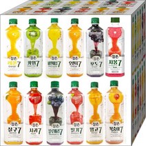 참존7 과일농축액 음료 베이스 쥬스원액 835ml 딸기 망고 복숭아 살구 사과 오렌지 포도 자몽 레몬 키위 파인애플 블루베리, 참존7 베이스 오렌지 835ML