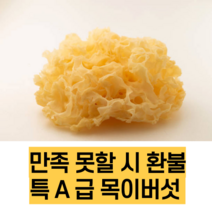 백목이버섯 은이버섯 백목이 흰목이 버섯 1KG
