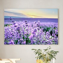 예쁜 힐링 풍수 인테리어 장미 데이지 튤립 꽃그림 모음 북유럽감성 식물액자, 10.라벤더 꽃밭