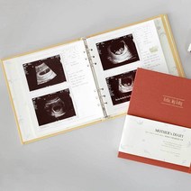 다이어리 리필 속지 초음파 앨범 아기성장 기록 투명 데일리 A5 스터디플래너 미니 3P바인더 육공