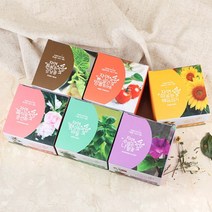 JAYART18_자연애 마이가든 식물 기르기 방울토마토키우기 미니키우기 해바라기키우기 강낭콩키우기 허브바질키우기 초보용키우기 봉선화키우기+jac230126, (주)제이아트co_강낭콩