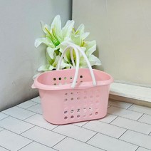 Wal그린_플라스틱욕실바구니 미니 목용 다용도 정리 용바구니_Wal그린, 무옵션-단일상품_
