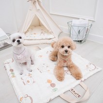 사계절용 순면 강아지 휴대용 피크닉방석 산책매트, 산책매트-스타민트