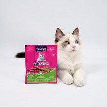 비타크래프트 캣 스틱 간식 3p, 치킨그라스, 6개